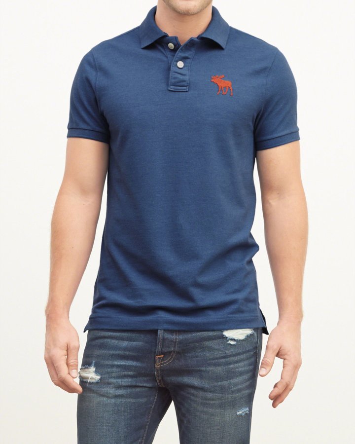 A&F Big Icon Polo Shirt