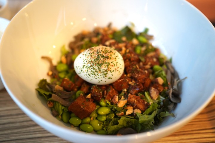 tuna bowl at protein lab